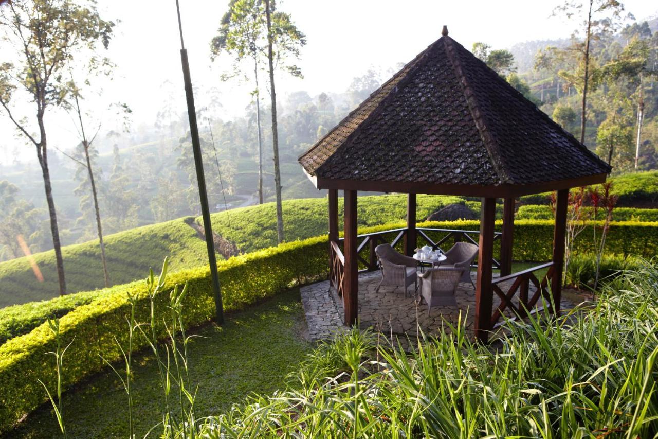 Ceylon Tea Trails - Relais And Chateaux Хатон Екстериор снимка